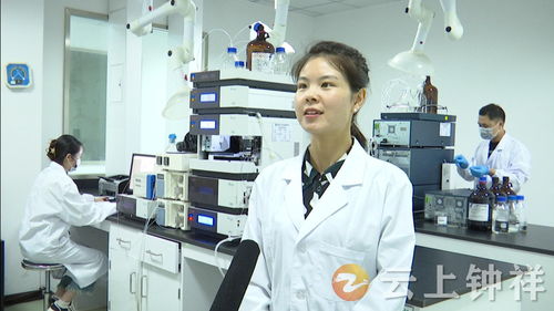 湖北钟祥 以免费检测服务优化营商环境 为农产品安全保驾护航