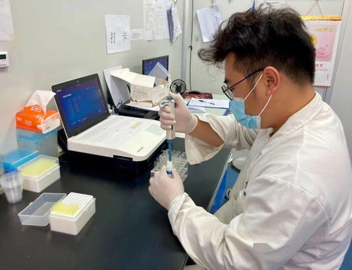 守护市民“菜篮子”安全 九江开展节前食品专项监督抽检