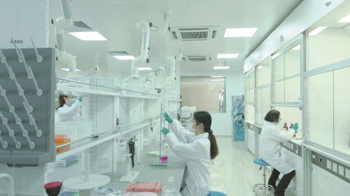 扩大检测能力，深化企业服务 市食药检科院打造嵌入式服务金名片