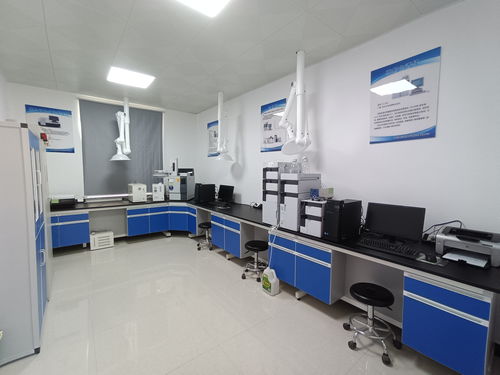 固原市粮油质量检验检测能力全面提升 食品机构资质认定证书获批与检验检测服务优化