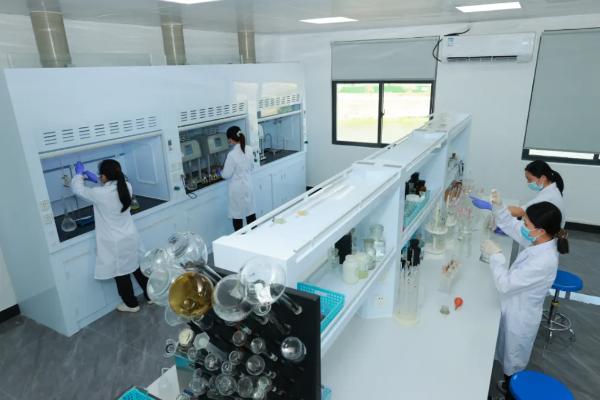 喜讯！三亚环农集团检测公司顺利通过国家级能力验证，检验检测服务迈上新台阶